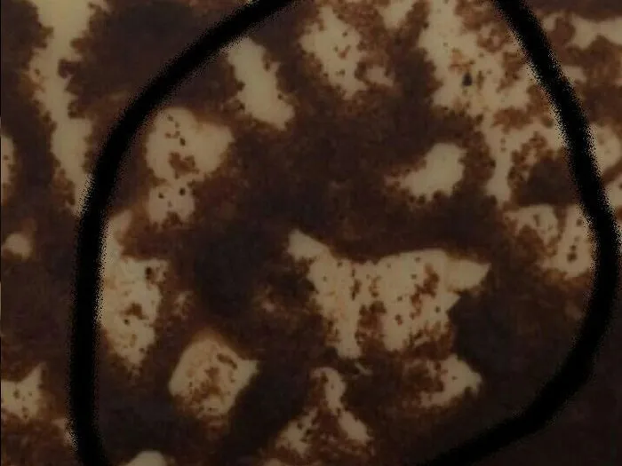 Запись на прием к гадалке в Советске